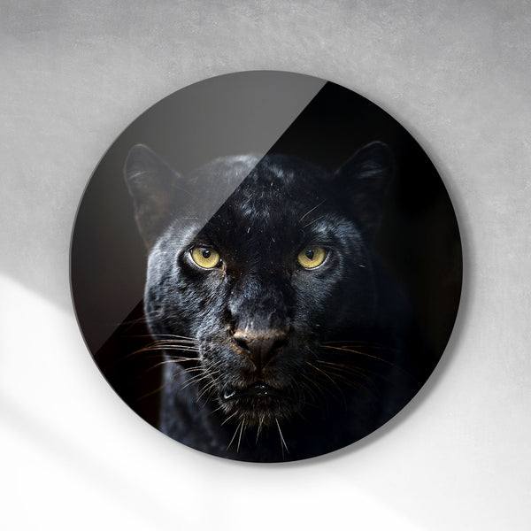Cirkel - Black panther