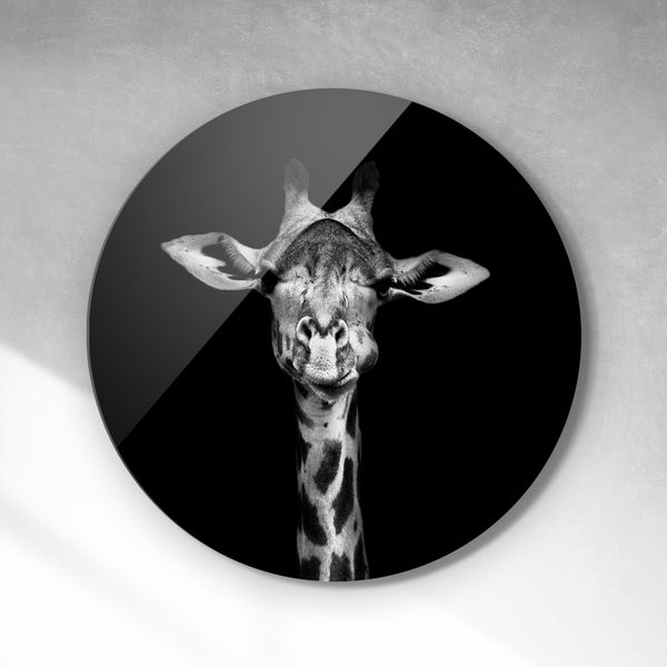 Cirkel - Giraf