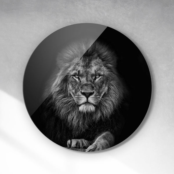 Cirkel - Chilling king