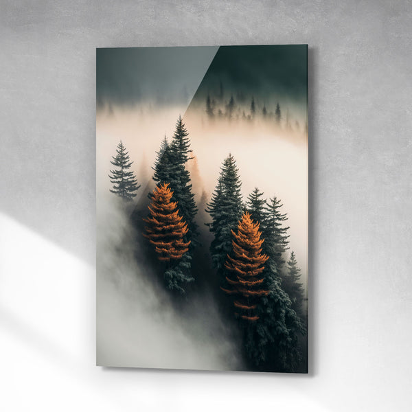 Misty woods