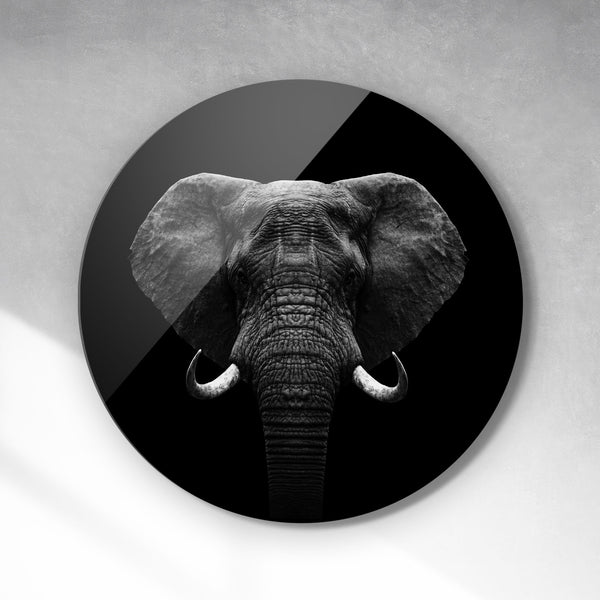 Cirkel - Dark elephant