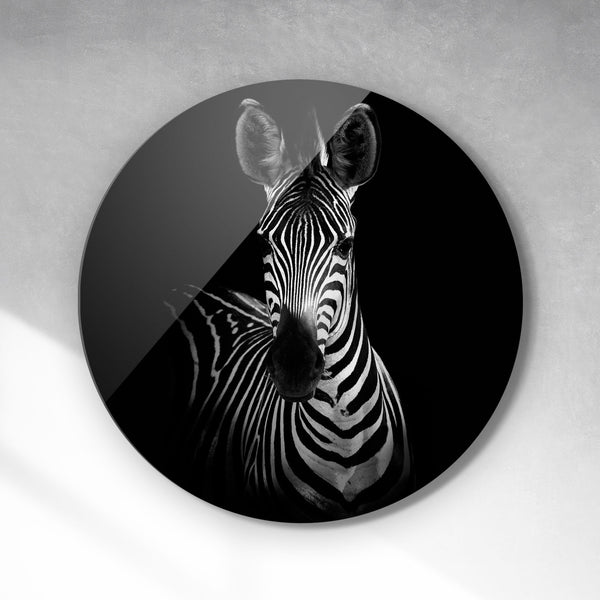Cirkel - Zebra