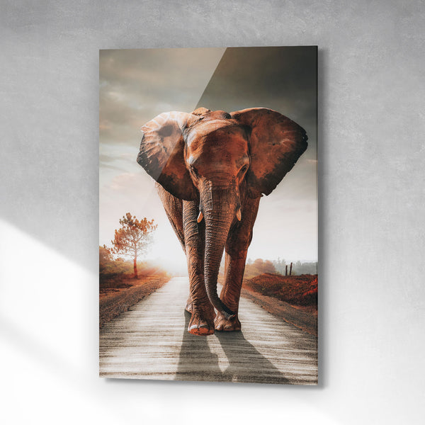 Walk with Elephants