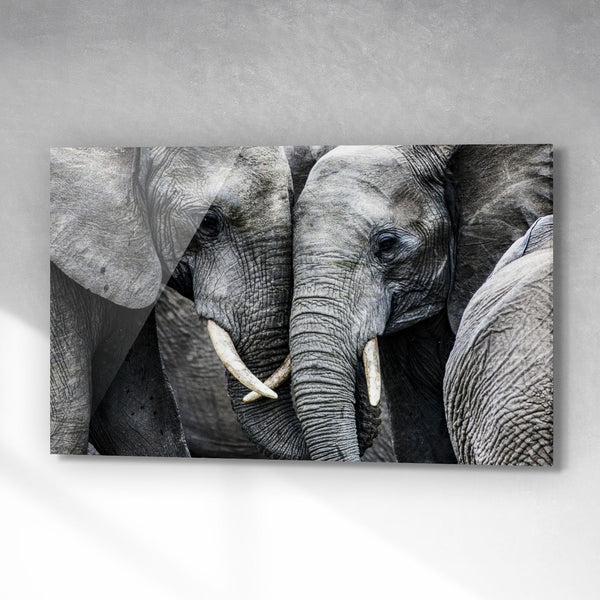 Elephant Love